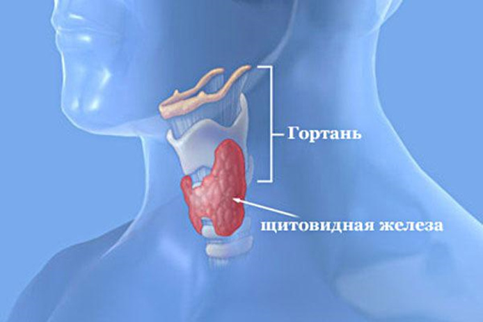 Симптомы заболеваний щитовидной железы
